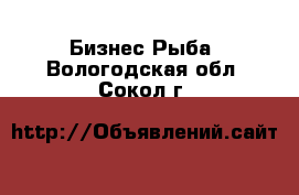 Бизнес Рыба. Вологодская обл.,Сокол г.